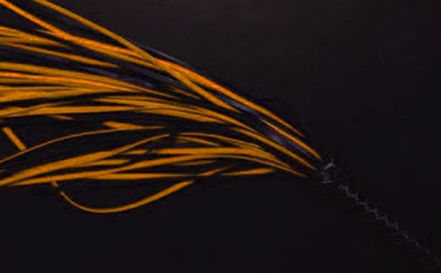 母親的鞭子小學生作文(通用20篇)