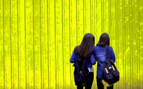 介紹我的表姐作文