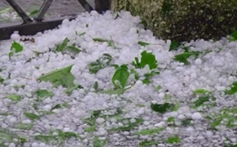 ����ı���250�փ�������