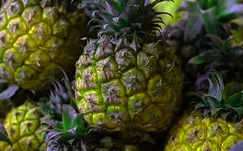 菠蘿的自述作文常用(2篇)