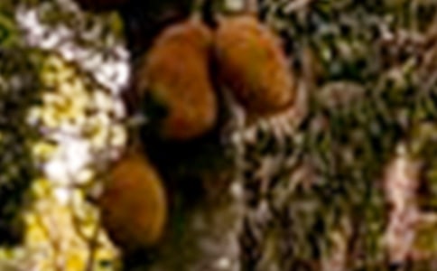 �ո��Բ��}����ʲô��̎