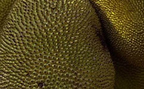 菠蘿蜜作文15篇【優選】