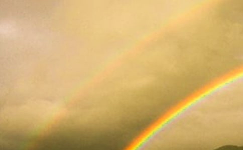 ���еĲʺ�����11ƪ[���x]