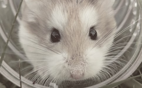 �}(c��ng)��������