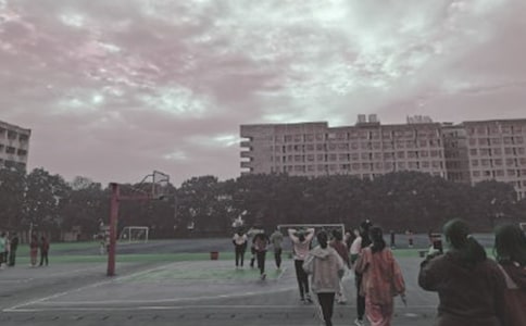 �����Ĳو����ġ����A15ƪ��