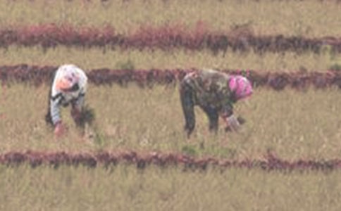 [�؂�]����������