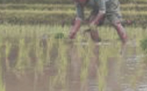 ˮ���C(j��)�����l(f��)չ�����Ă�(g��)ԭ��