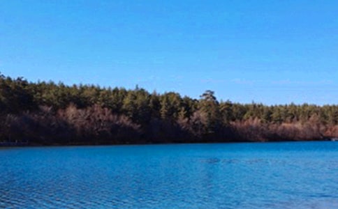 小學(xué)五年級作文650字:長白山之旅