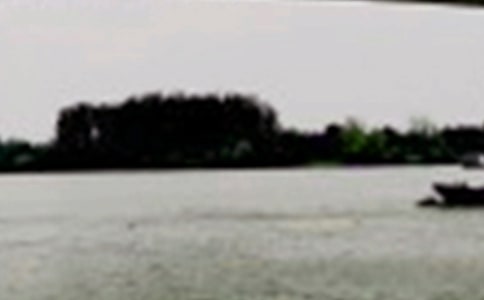 擬古九首其九賞析-擬古九首其九種桑長(zhǎng)江邊