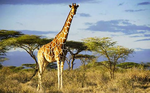 (����)�L�i¹����15ƪ