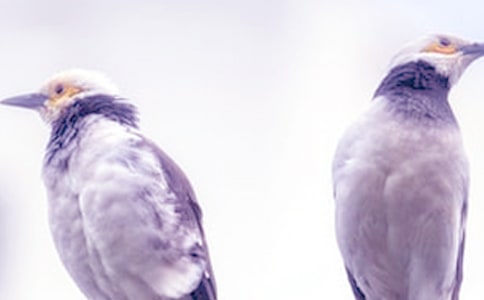 跟老婆吵架的檢討書