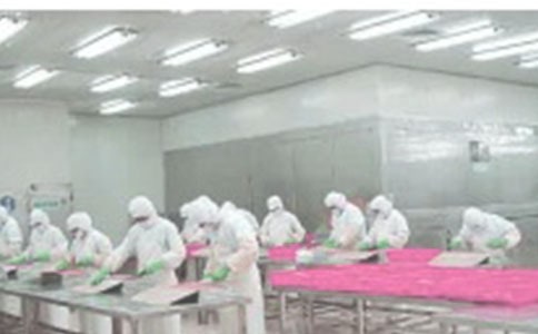 ���a܇�g����Ӌ������