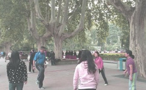 晨練的作文15篇【精】