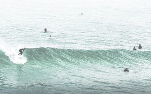 �P(gu��n)�ڛ_�˵�����300����ƪ