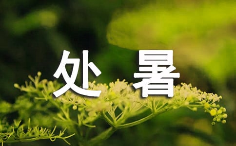 處暑問候短信(通用50句)