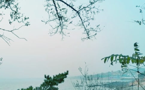 [����]��һ�|���L����10ƪ