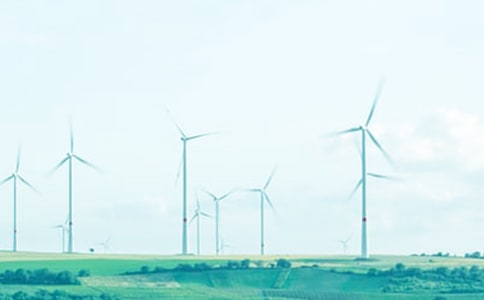 �茑���L�Ľ�(j��ng)��Ԋ��