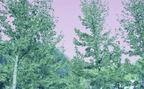 ���L(f��ng)��������[����10ƪ]