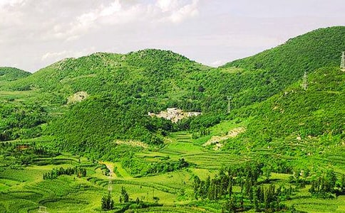 �c��ɽ�Y��_700��