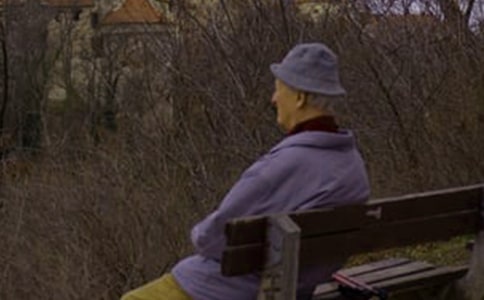 心里美的大叔作文