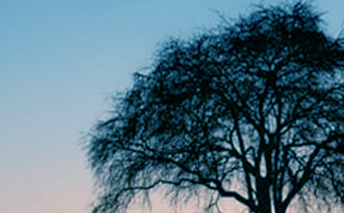 ��С�ݺʹ�䡷�x��з���