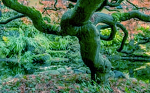 һ�ô���x���