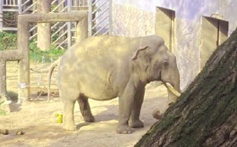 Λρ�ʹ���Ĺ���28��