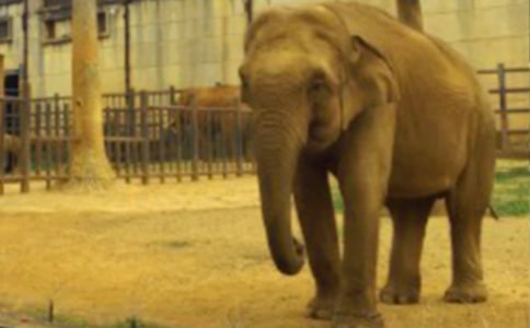 ����׃�����(j��ng)����@����