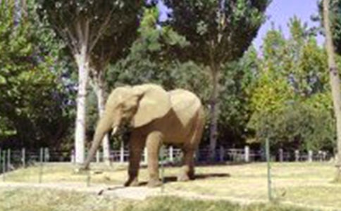 大象和小鳥作文