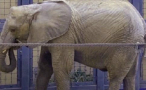 ��������c����Щ����