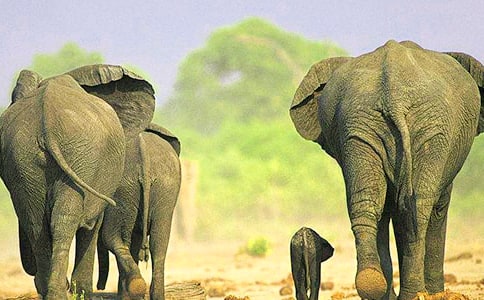 �T��������[���x]