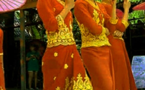 �����������ٳ���