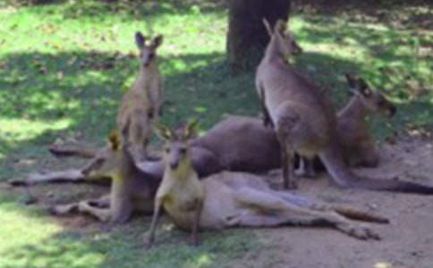 ����������