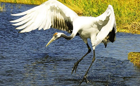 ����Q����