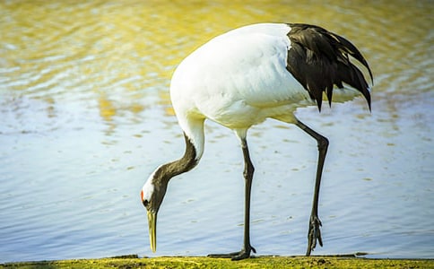 �ε���Q��Ȼ���o(h��)�^(q��)