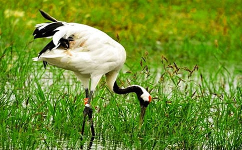 �����ĵ���Q�̰�