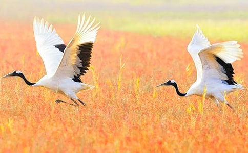 �ԡ�����Q�������}������