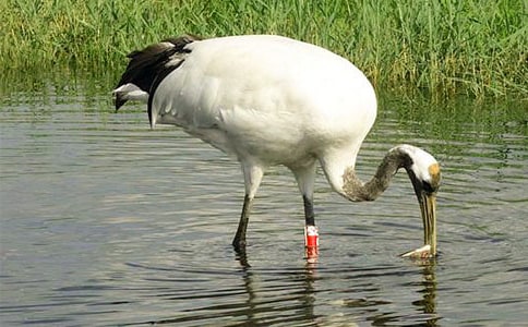 �P�ڵ���Q������8ƪ