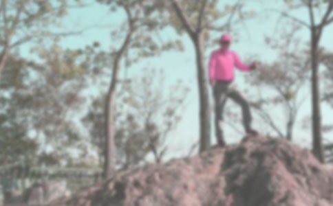 ȥ��ɽ����