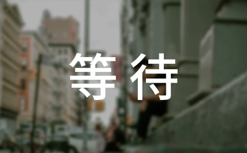 等待作文(精選33篇)