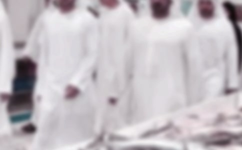 迪拜的街頭的風光作文