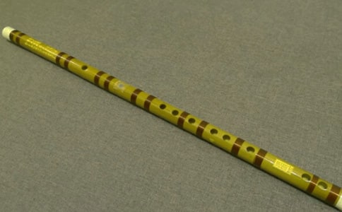 我學會了吹笛子作文