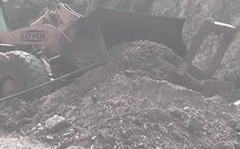 ���|(zh��)���a(ch��n)�������