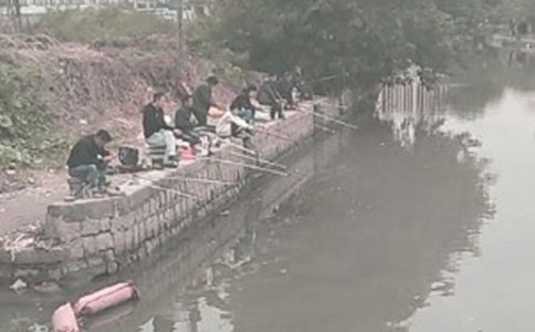 小貓釣魚讀后感集錦