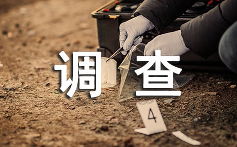 學生調查報告模板