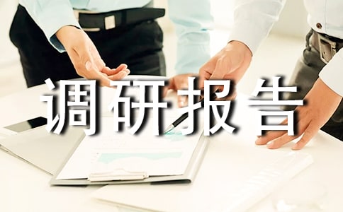 大學(xué)企業(yè)調(diào)研報(bào)告