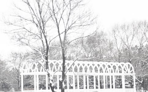 再寒冷的冬季也有暖意作文14篇(精品)