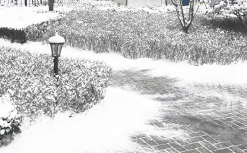 �ٺ���Ķ���Ҳ��ů������14ƪ���]��