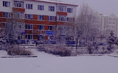 (���x)����Ȥ������15ƪ