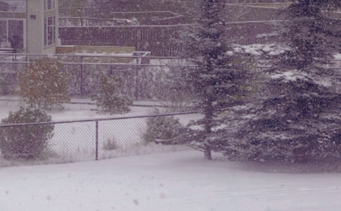 �������̝��s��ů����